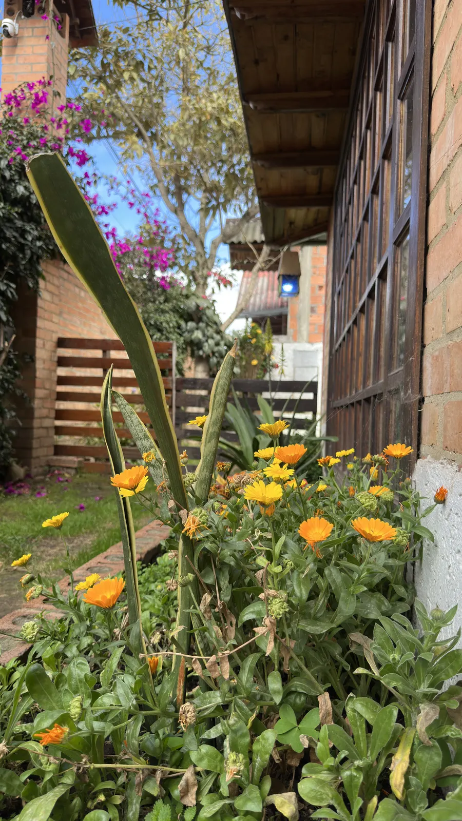 Flores del jardín junto a la fachada de ladrillo