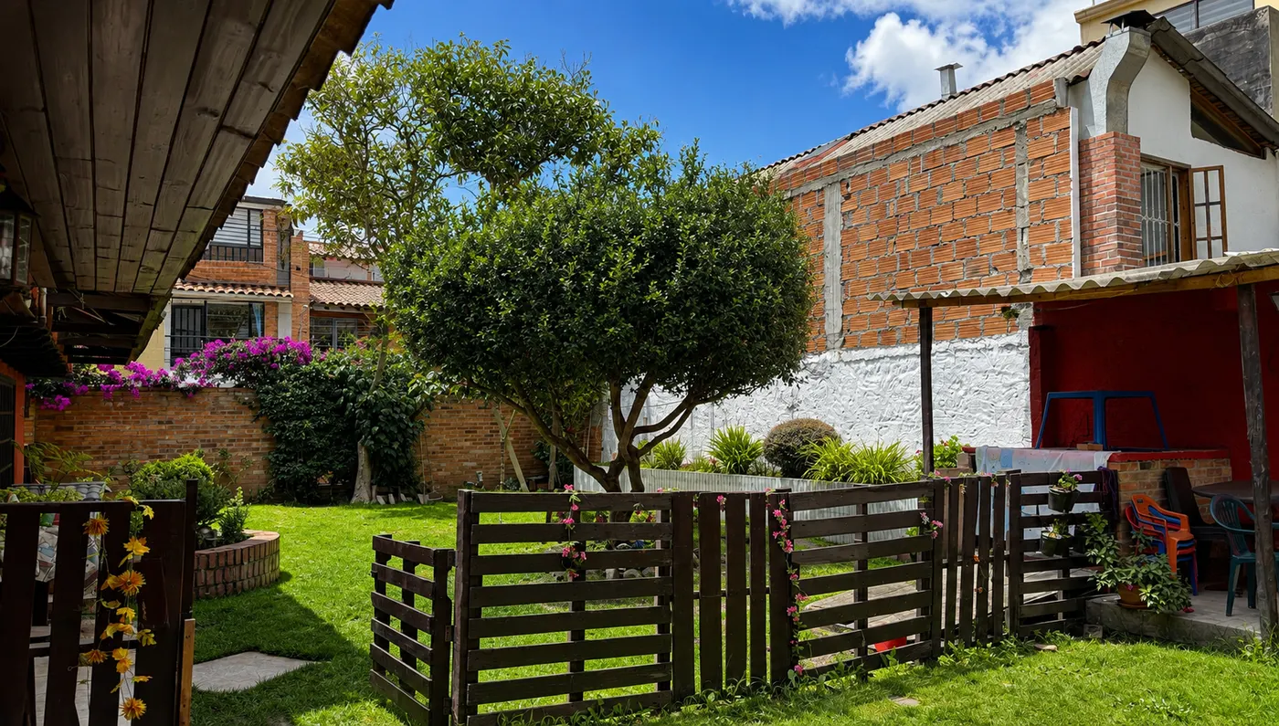 Jardín del hostal con árbol y buganvilias